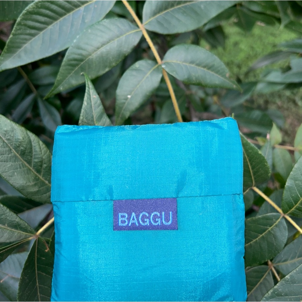 Malachite standard reusable baggu